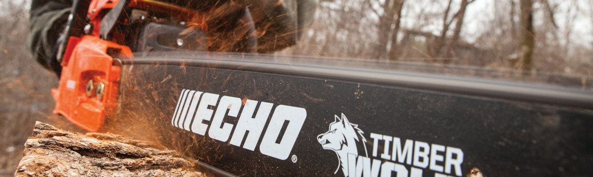 2020 Chainsaw Echo for sale in T & E Small Engine, Floyd, Virginia