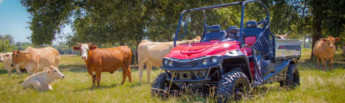 A red 2020 Mahindra mPact XTV 750 S Flexhauler UTV on a pasture with a herd of cows.