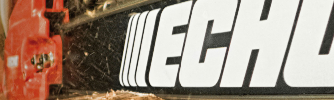 Echo